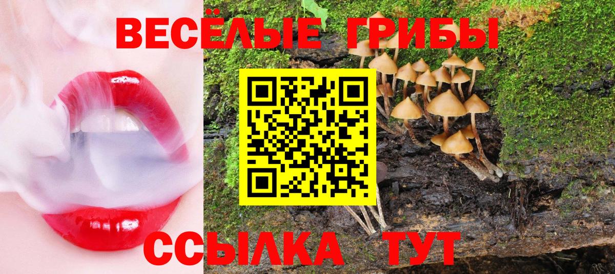 Галлюциногенные грибы мухоморы Камень-на-Оби