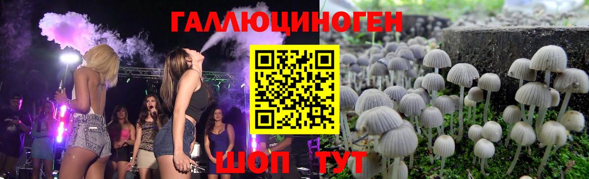 Камень-на-Оби  Галлюциногенные грибы Psilocybe  Вход с VPN 